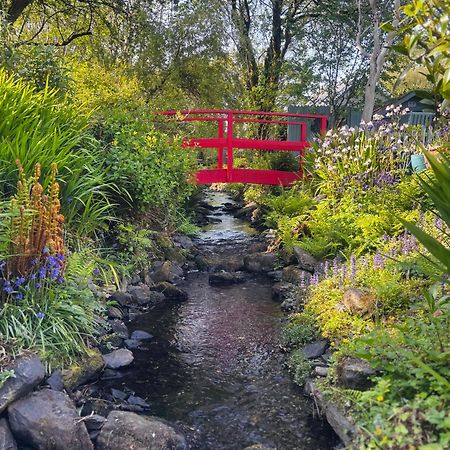 Streamside B And B With Parking Drimoleague Luaran gambar