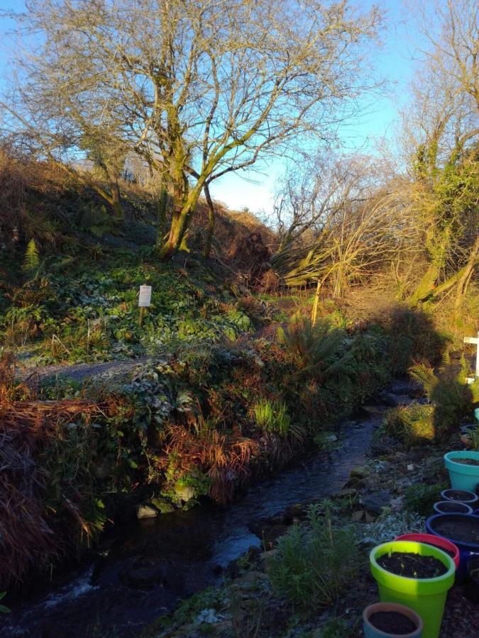 Streamside B And B With Parking Drimoleague Luaran gambar