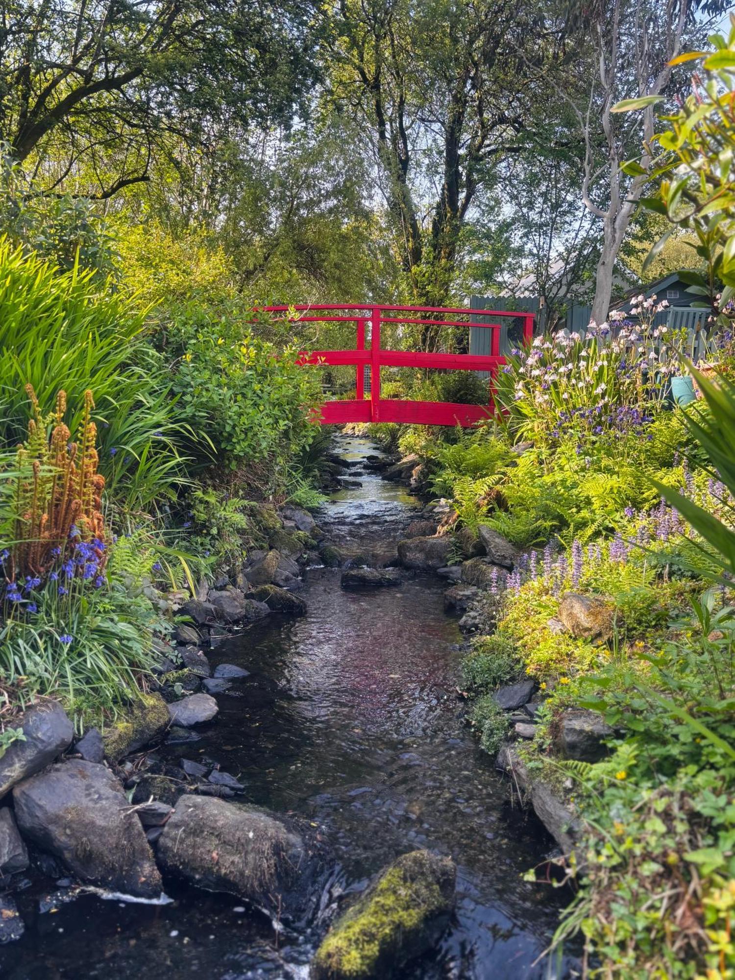 Streamside B And B With Parking Drimoleague Luaran gambar